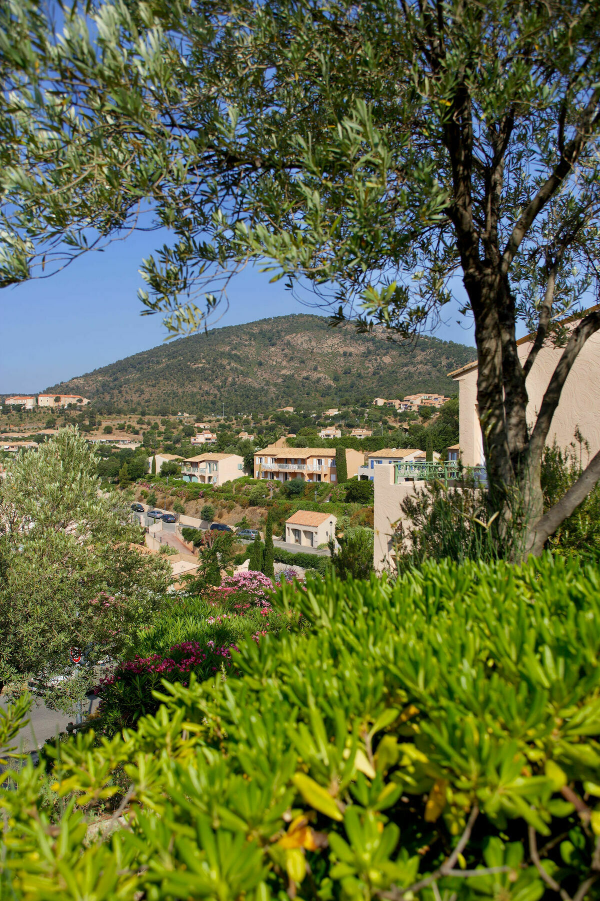Residence Pierre & Vacances Les Terrasses Des Issambres Les Issambres Ngoại thất bức ảnh
